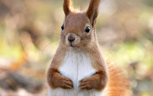 东北异事——我和表弟的一段神奇经历