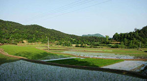 小鬼缠身，堂姐夫逢凶化吉