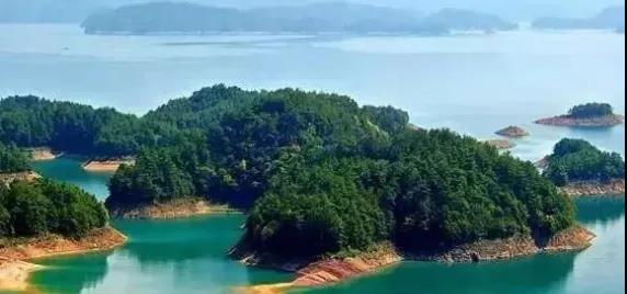 迁坟风水导致的病事