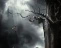 睡到死(我该怎么办?救救我!)