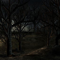 二叔的恐怖遭遇！