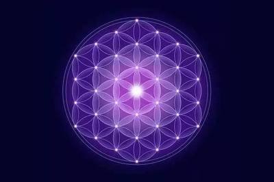 (感悟)二元一元……祈福与科博拉信息