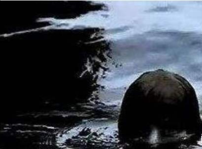 我和它的交流！