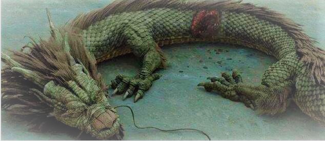 营口坠龙事件全过程