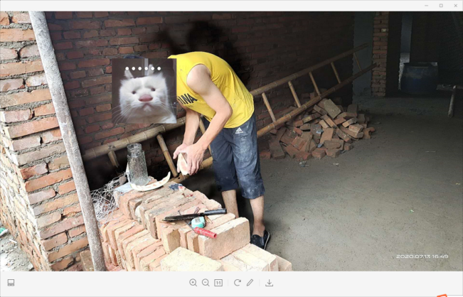 猫十七:新房里面拍照片