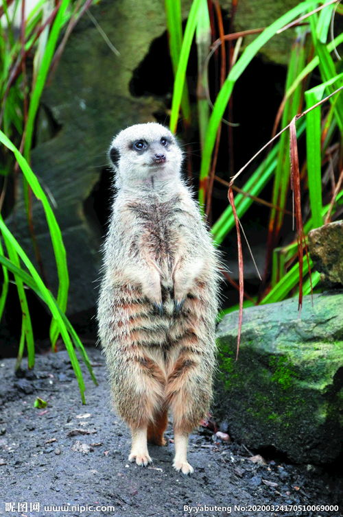 乡村老道斗野仙(替本人转述)