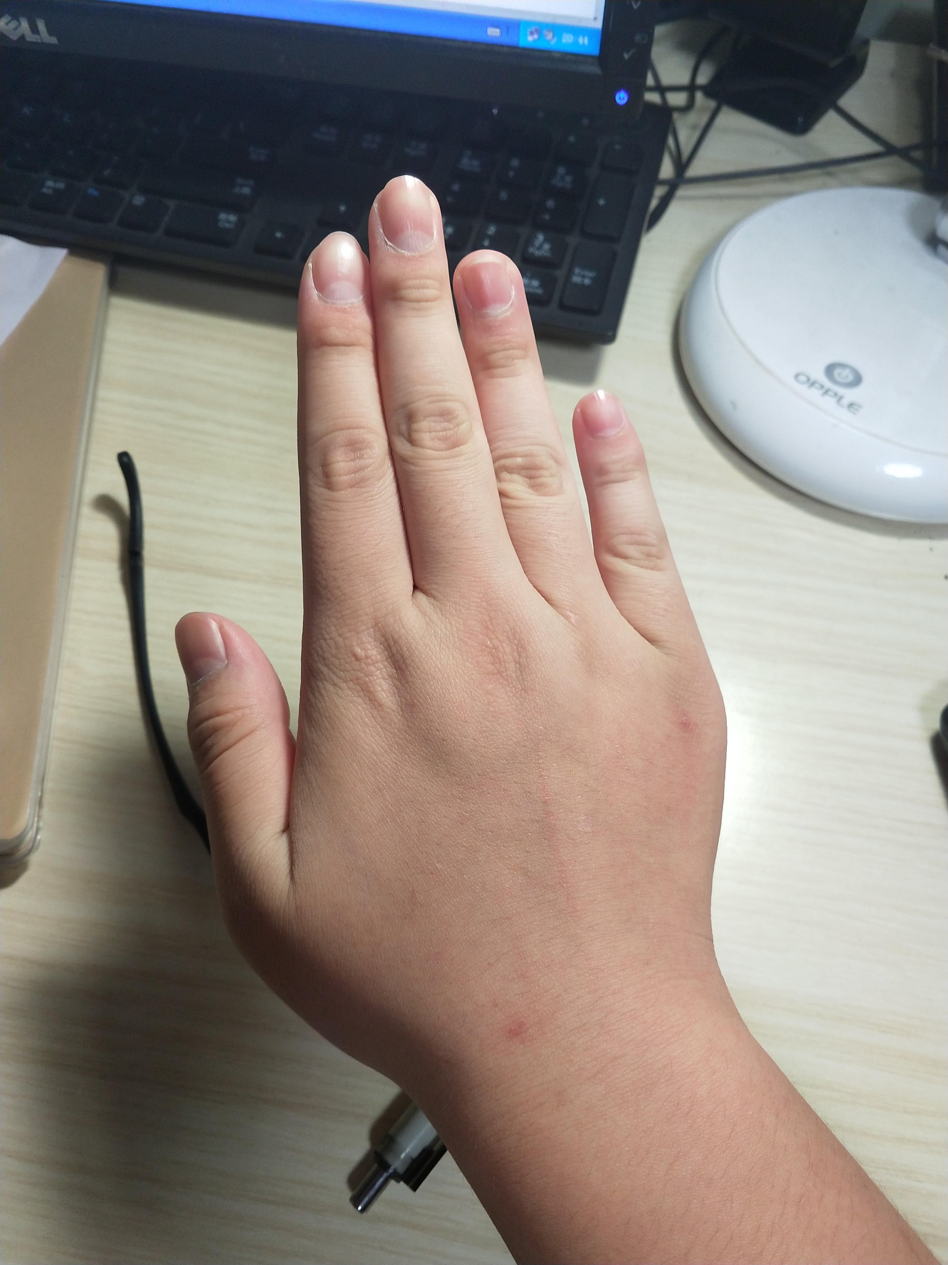 有人会看手相眼相吗？帮我看一下。