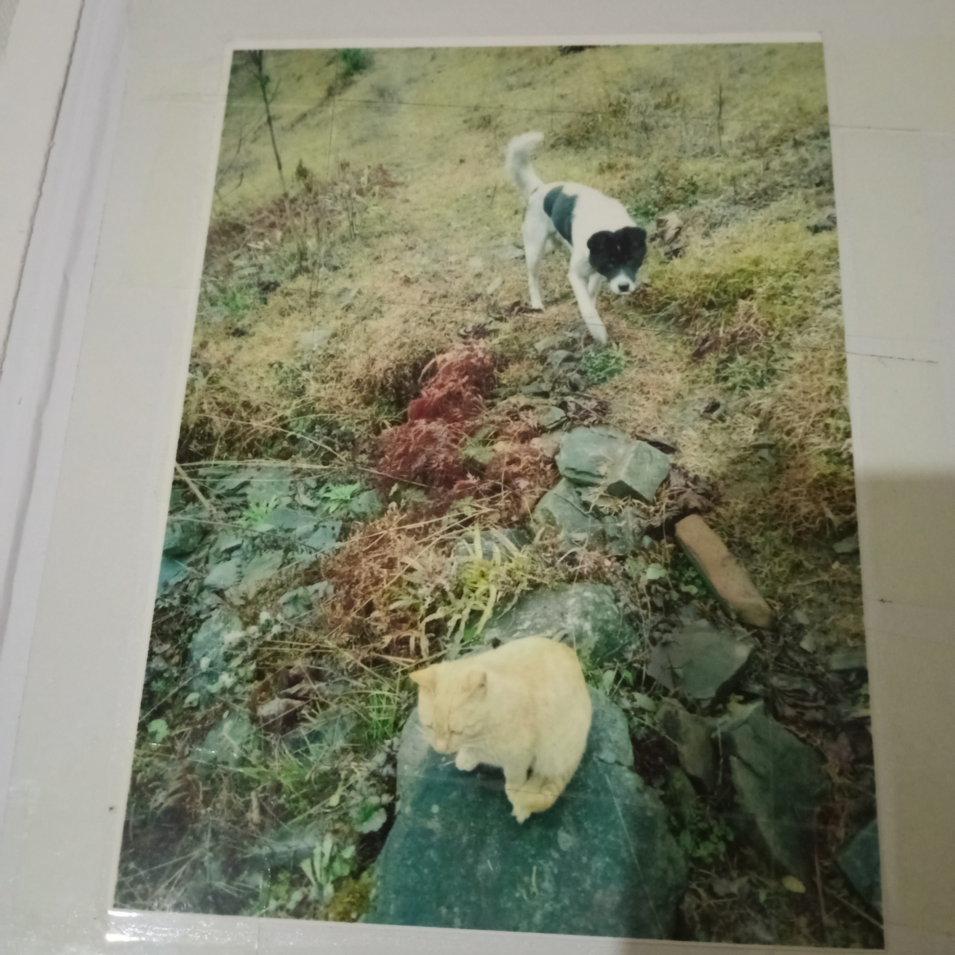 眼睛能穿透一切的视线