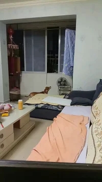 咱们人虽然看不到灵魂,但是动物确实能看到的