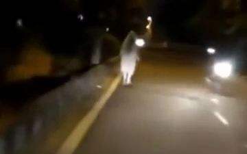 高速路的白衣人