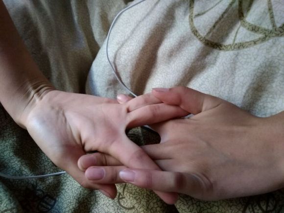 大家敢不敢试一试这个“狐狸之窗”？