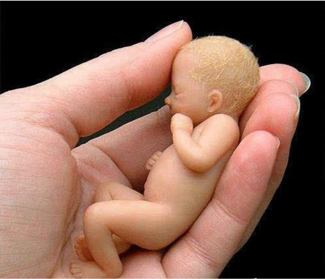 什么是婴灵？婴灵是怎样产生的？