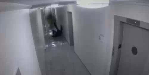 灵异游戏:通往另一个世界
