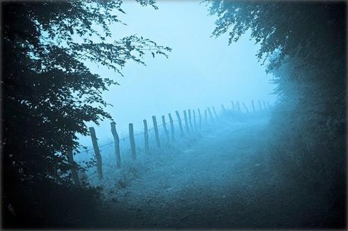 能预见身边（接触过的）之人死亡