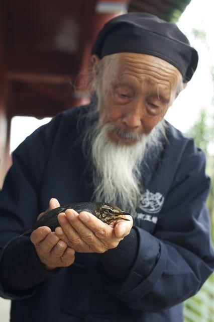 推荐一种老少皆宜的健身气功