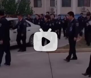 考驾照迷惑行为图鉴