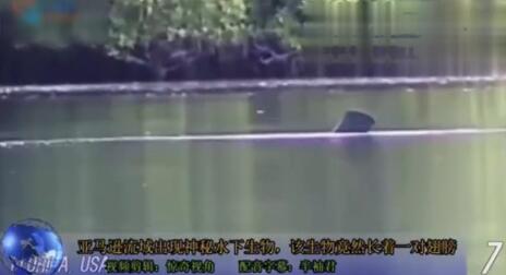 贵州2017年发生最灵异的事件