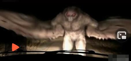 未解之谜十大骇人不明飞行生物!