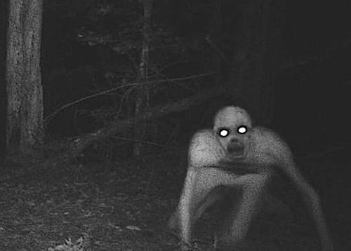 2021灵异事2:被女儿写入作文的经历