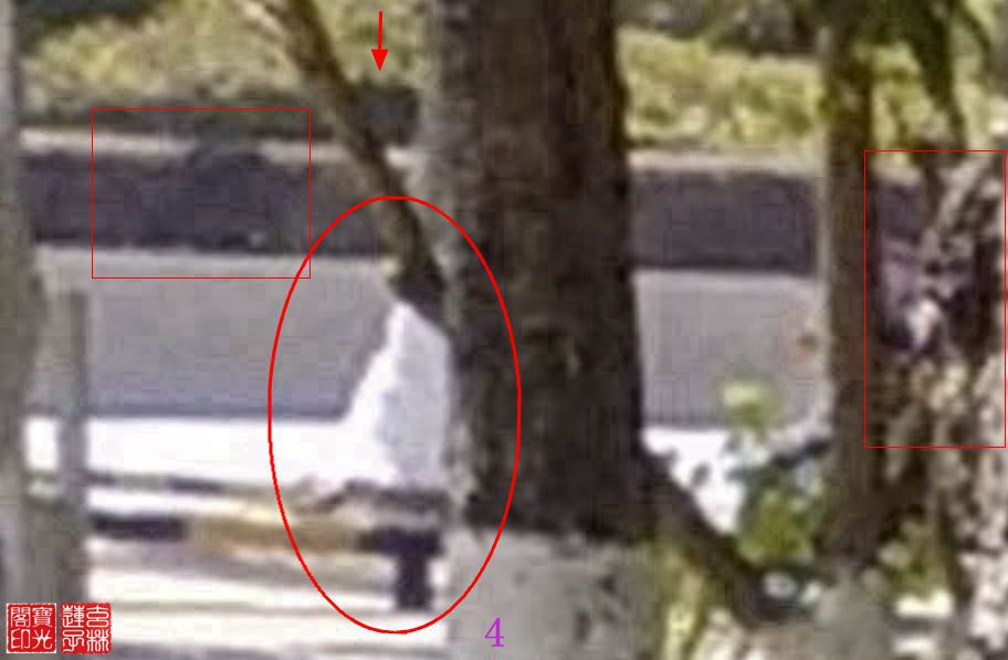 灵向我展示雪白漂亮的冬衣