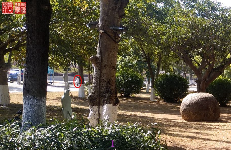 灵向我展示雪白漂亮的冬衣