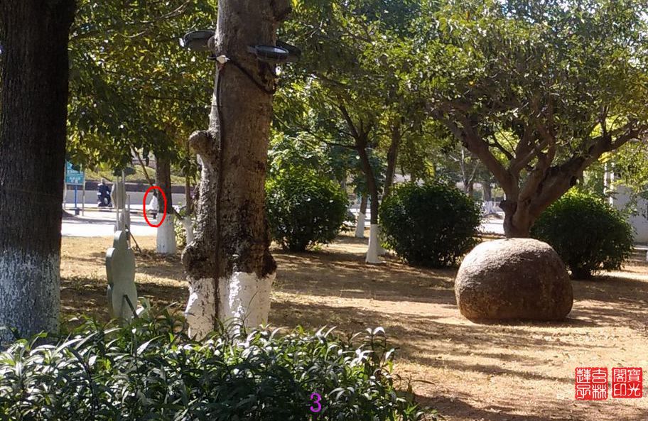 灵向我展示雪白漂亮的冬衣