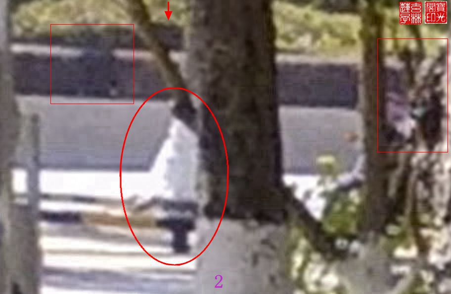 灵向我展示雪白漂亮的冬衣