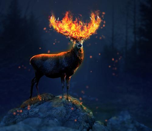 冤鬼志（7）：阳之罪