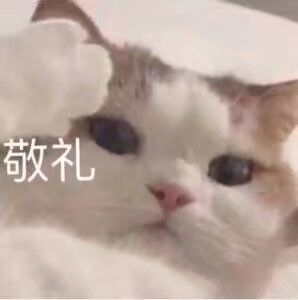 我在儿时的梦中循环