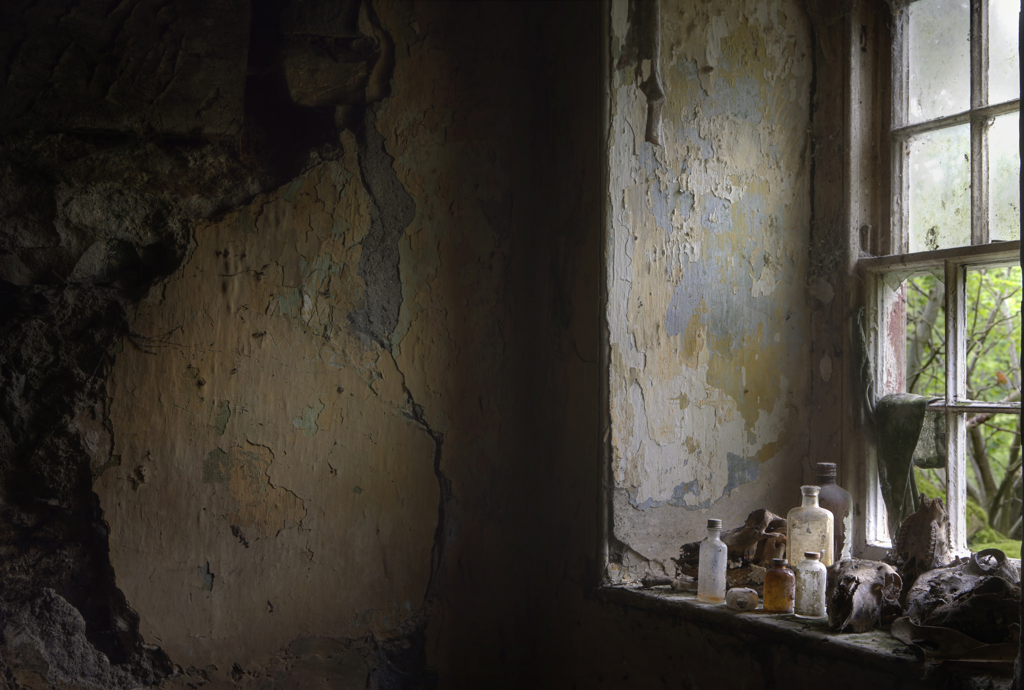 日有所思,也有所梦