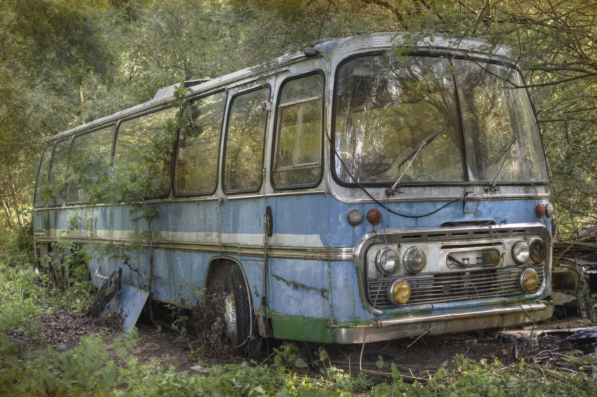 日有所思,也有所梦