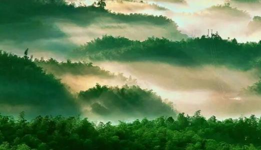 萧师奇闻录 | 出道弟子正式学法的触发机缘