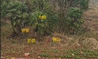 解惑