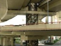 发生在上海的龙柱事件