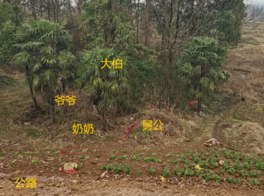 解惑