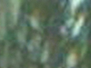 中秋早上在阳台拍到的一张照片（手机拍摄）