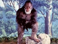 神奇的野人之谜