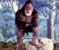 神奇的野人之谜