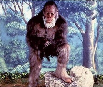 神奇的野人之谜