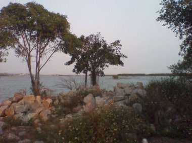 黄昏有约(手机拍摄)