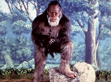 神奇的野人之谜