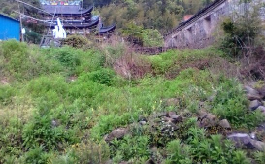 不知道是不是灵异现象