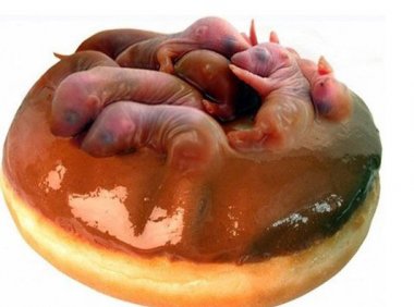 中国十大禁食餐谱菜