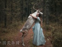 世上能和动物和死人直接对话的人