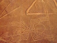 未解之谜之南美史前巨画