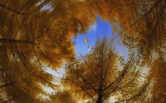 科学无法解释的轮回转世