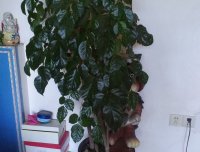 从小到大，第一次撞见