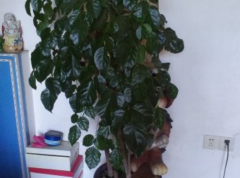 从小到大，第一次撞见