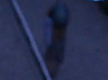 灵异图片:托瓶女