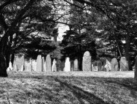 鬼宅探秘:达克罗撒庄园异闻录